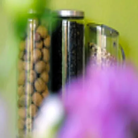 Business & Budget Tessin Hotel