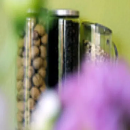 酒店 提契诺商业&经济型酒店 2*